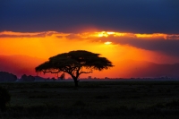 Een bezoekje aan Zuid Afrika